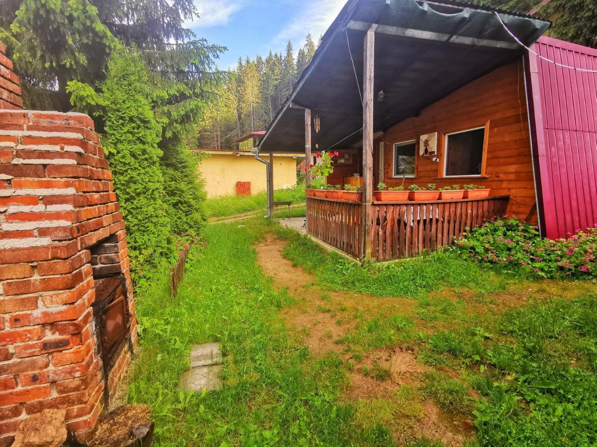 Orlino Holiday Park Sarnitsa Eksteriør billede