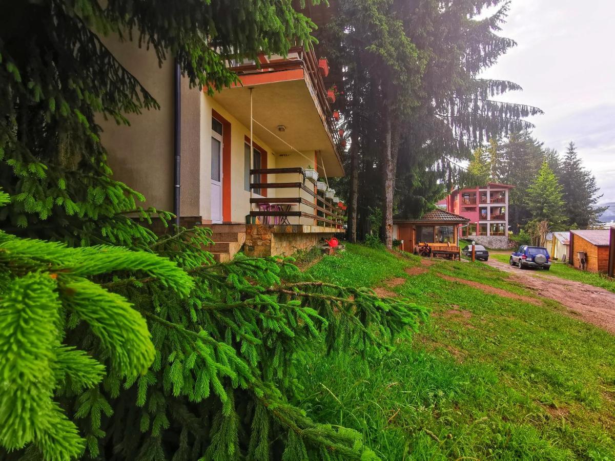 Orlino Holiday Park Sarnitsa Eksteriør billede