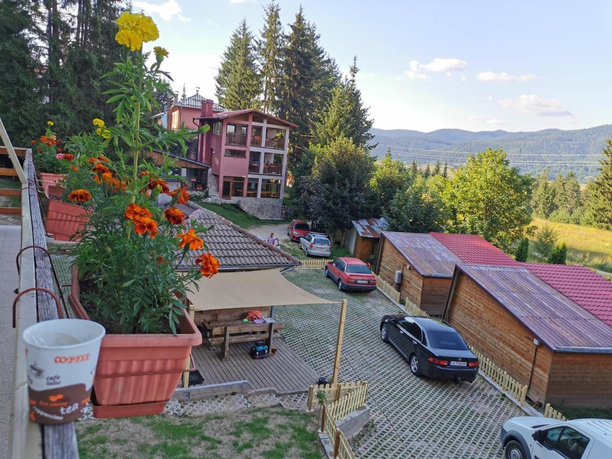Orlino Holiday Park Sarnitsa Eksteriør billede